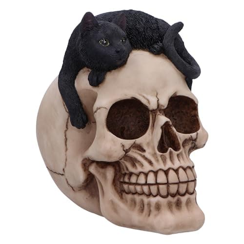 Image of Nemesis Now Skull Figurine – Resin Skull Ornament, Hand-Painted Gothic Fantasy Decor, Mythical Collector Display Piece - Forever Friend