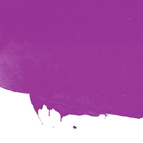 Image of Brian Clegg Ltd. Paint, Purple, 600ml