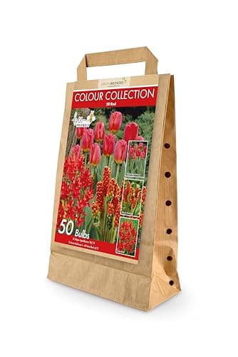 Image of GreenBrokers Colour Collection Spring Flower Bulbs - Red