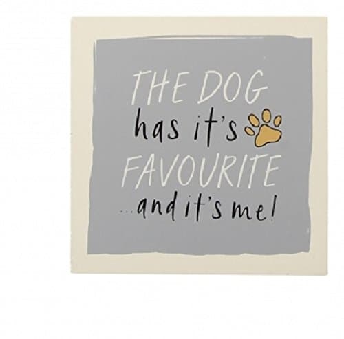 Image of Paws for Thought Single Wooden Dog Coaster with Sentiment (The Dog has its favorite and it's me)