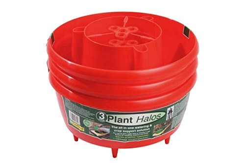 Image of Garland Plant Halo Red - Set of 3