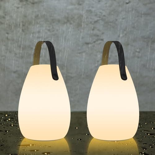 Image of FUYO Portable Outdoor Table Lamp, Dimmable Rechargeable Night Lights Remote and RGB Colors, IP44 Water-Resistant Hanging Camping Lantern for Patio Tent Bedroom Garden (Medium-Black Handle-2 Packs)