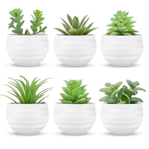 Image of BTSD-home Artificial Succulent Plants in pots 6 Pack Small Faux Plants for Home Office Shelf Bathroom Decor