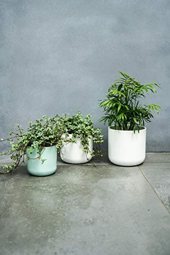 Image of Ivyline Lisbon Planter White D13.5Cm
