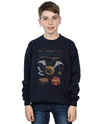 Image of Harry Potter Boys All I Want For Christmas Sweatshirt Navy Blue 9-11 Years