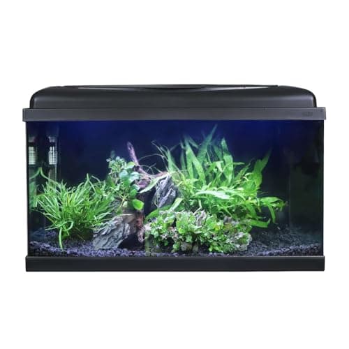 Image of Swell Aquarium 60cm Tropical Freshwater LED Fish Tank Kit 54ltrs
