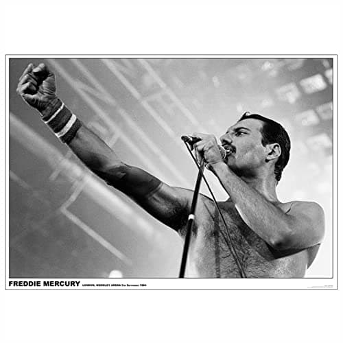 Image of Queen Freddie Mercury - Wembley Arena, London 1984 Unisex Poster multicolour, Paper,