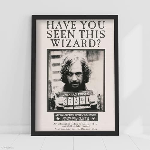 Image of Harry Potter Print - Have You Seen This Wizard Sirius Black Poster Wall Art (29.7cm x 42cm - A3)