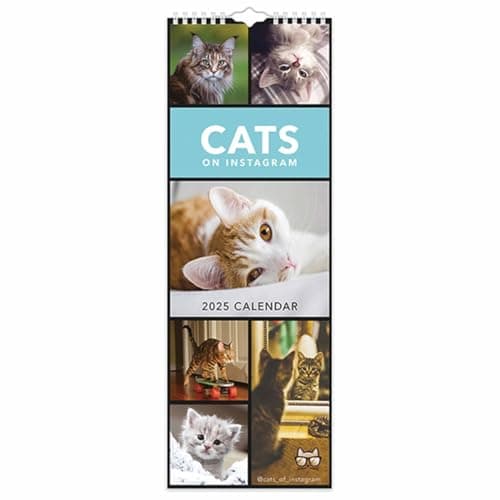 Image of 2025 Cats on Instagram Slim Wall Calendar