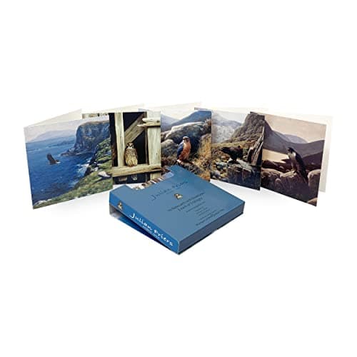 Image of Bird of Prey Greeting Cards - Pack of 10 with envelopes - All Occasion Blank Cards - Notelets by Artist Julian Friers - Eagle, Peregrine, Kestrel