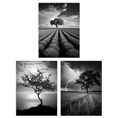 Image of Artery8 Set of 3 A4 Lone Tree and Storm Clouds Black and White Photographs Atmospheric Coastal Landscape Unframed Wall Art Living Room Poster Prints Pack