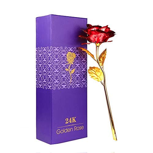 Image of WeFoonLo Creative Artificial 24K Rose Flower Plastic Long Stem Real Rose Dipped in Gold with Gift Box for Mother's Day, Valentine, Birthday, Anniversary, Thanksgiving Day (Red+Gold)