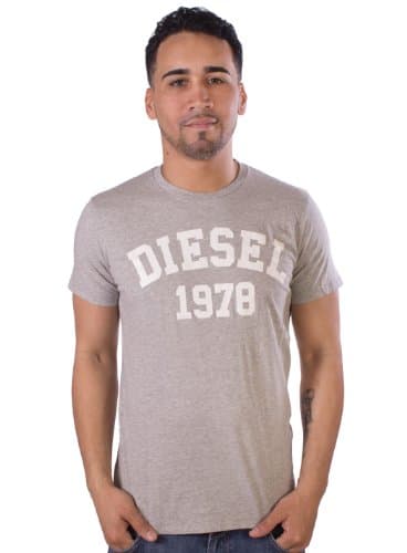 Image of Diesel Men's T-Ehm Graphic T-Shirt - Gray - S