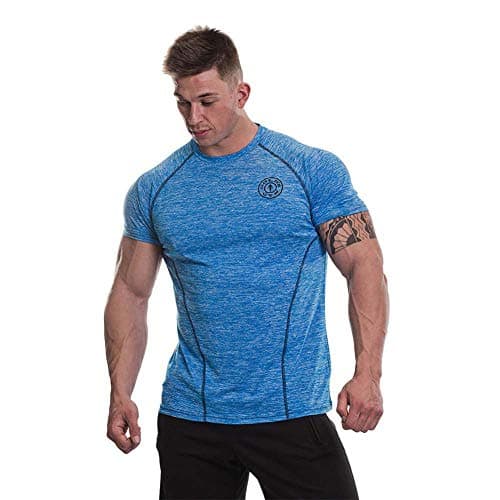 Image of Gold's Gym UK GGTS060 Mens Workout Training Short Sleeve Tee Breathable Performance Marl Raglan Sleeves T-Shirt, Blue Marl, XL