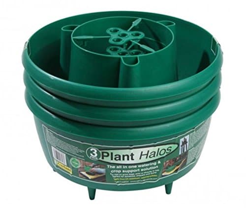 Image of GARLAND PLANT HALOS (SET OF 3) GREEN