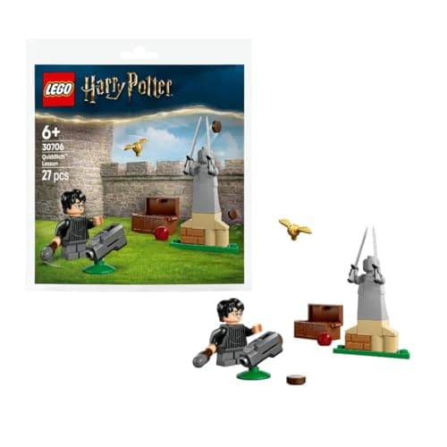 Image of LEGO Konstruktionsspielzeug Harry Potter Quidditch Training