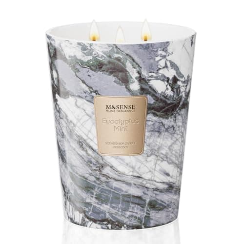 Image of M&SENSE Scented Candles Gifts for Women 990g Eucalyptus Mint 3-Wick Natural Soy Wax Large Candles 150H Long Burning Aromatherapy Candles Gift for Men, Perfect Halloween Christmas Wedding Gifts