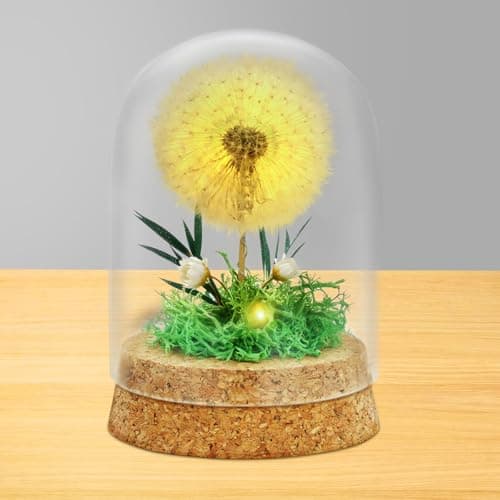 Image of AOOTE Real Dandelion in Glass, Light Up Dandelion in Glass Dome, Eternal Dandelions Decoration with LED Fairy Lights, Decorative Gifts in glass Lucky Charm and Small Item for Birthday Christmas Decor