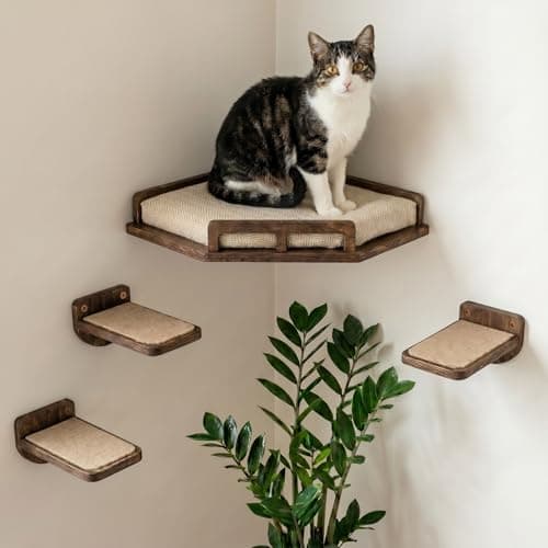 Image of INICIO Cat Wall Shelves - Safe and Sturdy Cat Wall Furniture - Stylish Natural Wood Corner Shelf with 3 Steps for Cats up to 8kg - Padded Perch and Stairs for Climbing and Playing