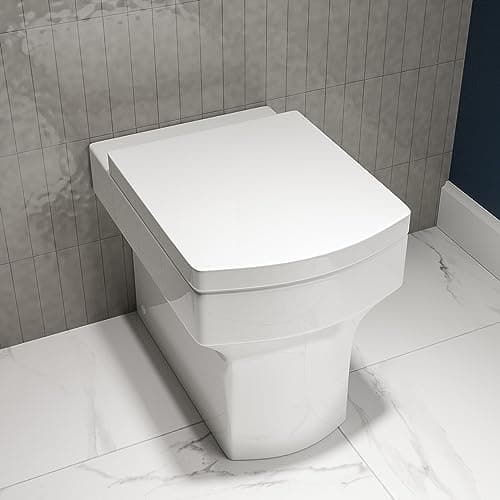 Image of Ashford Back to Wall Rimless Toilet and Soft Close Seat
