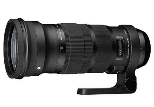 Image of Sigma 137101 120-300mm F2.8 DG OS HSM Lens for Canon (Black) - International Version (No Warranty)