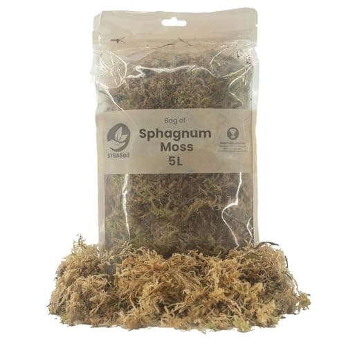 Image of Sybotanica - Sphagnum Moss 5L - Natural Moss Substrate for Orchids and Terrariums - Retains Moisture - Supports Root Growth - Ideal for Houseplant Lovers