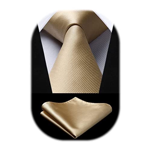 Image of HISDERN Ties for Men Champagne Tie and Pocket Square Set Classic Silk Tie for Wedding Party Business