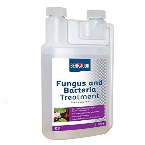 Image of Bermuda Fungus and Bacteria Treatment 1000ml