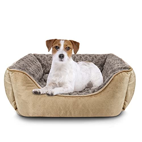 Image of JOEJOY Dog Bed Medium Washable - Calming Anti-Anxiety Rectangle Cat Bed with Soft Cosy Plush - Pet Bed Size Small | Medium | Large Mattress Mat For Dog, Beige
