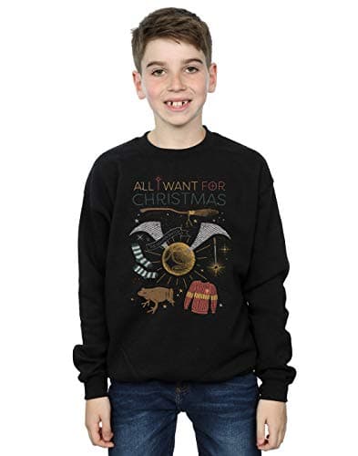 Image of Harry Potter Boys All I Want For Christmas Sweatshirt Black 9-11 Years