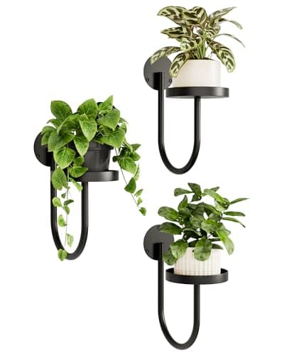 Image of Bamworld Wall Plant Holder Wall Planters for Indoor Plants Plant Hanger Indoor Window Plant Shelves Hanging Plant Holder Window Plant Hanger Plant Decor Black 3pcs
