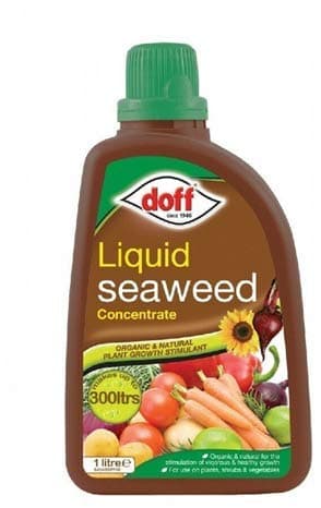 Image of 2 X Doff 1L Liquid Seaweed Concentrated Multi-Purpose Feed