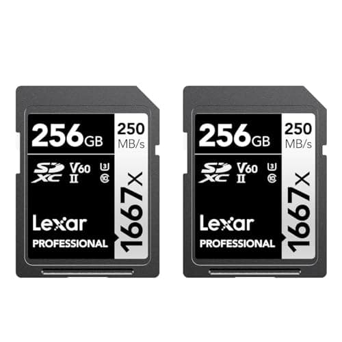 Image of Lexar 256GB (2-Pack) Professional 1667x SD Card, UHS-II, C10, U3, V60, Full HD, 4K, Up To 250MB/s Read SDXC Memory Card, for Professional Photographer, Videographer, Enthusiast (LSD1667256G-B2NNU)