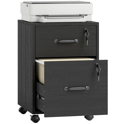 Image of HOMCOM Rolling File Cabinet with 2 Drawers, Mobile Filing Cabinet with Hanging File Folder for Letter Sized Documents, Black
