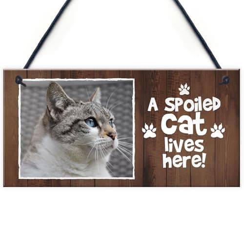 Image of Red Ocean Funny Cat Sign Personalised Cat Signs SPOILED CAT LIVES HERE Hanging Wall Door Plaque Gift For Cat Lovers Cat Gifts For Women Home Decor Friendship Gift