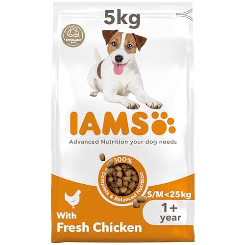 Image of IAMS Adult Small Medium Complete Dry Dog Food Chicken 5kg - With DentalCare System