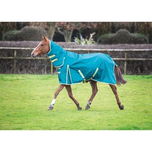 Image of Horse Master Shires Ontario 100g Combo Turnout Rug – Green | Lightweight Waterproof Horse Rug with Neck | Breathable Autumn & Mild Winter Turnout Blanket