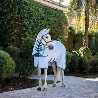 Image of Horseware Fly Blanket Amigo Ripstop Hoody Azure Blue/Navy & Blue/155 cm (6'9")