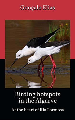 Image of Birding hotspots in the Algarve: At the heart of Ria Formosa
