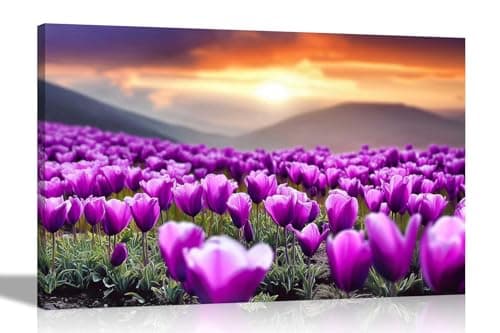 Image of Artley Prints - Purple Tulip Field Sunrise Mountain Canvas Prints Art for Living Room Conservatory Hallway Decoration Pictures 76 x 50cm (30 x 20 inches)