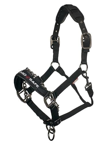 Image of LeMieux ProSafe Horse Headcollar in Black - Extra Padding - Adjustable at Nose and Poll Strap - Cob