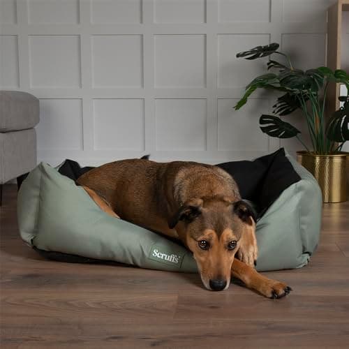 Image of Scruffs Expedition Waterproof Dog Box Bed (XL)
