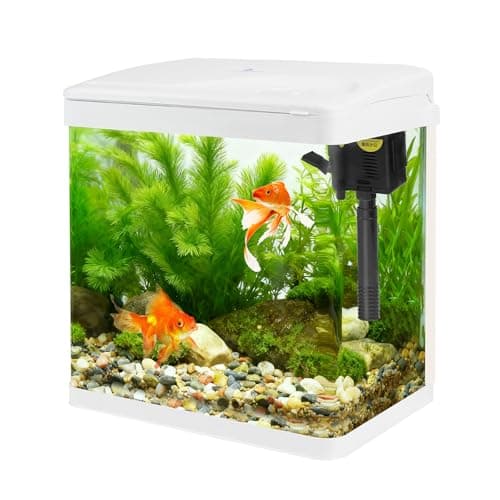 Image of Small Glass Aquarium Tank 8L with Filter and Light, All-in-One Desktop Glass Fish Tank Kit with Pump for Goldfish, Betta, Shrimp, White