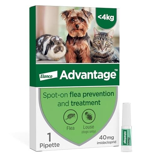 Image of Advantage Spot On Flea Treatment For Cats, Dogs and Rabbits Under 4kg (1 pipette, 40mg), Kills Fleas Within 24 Hours, Prevents Further Infestation For Up To Four Weeks in Cats and Dogs