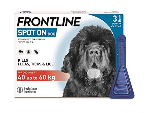 Image of FRONTLINE Spot On Flea & Tick Treatment for XL Dog (40-60kg) 3 Pipettes