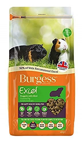 Image of Burgess Excel Guinea Pig Nuggets with Mint 2kg