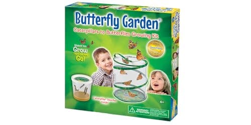Image of Insect Lore Raise and Release Butterfly Garden Kit – Caterpillar Habitat with redeemable Voucher – STEM-accredited Butterfly Growing Kit for Kids, Classrooms, and Homeschool Learning