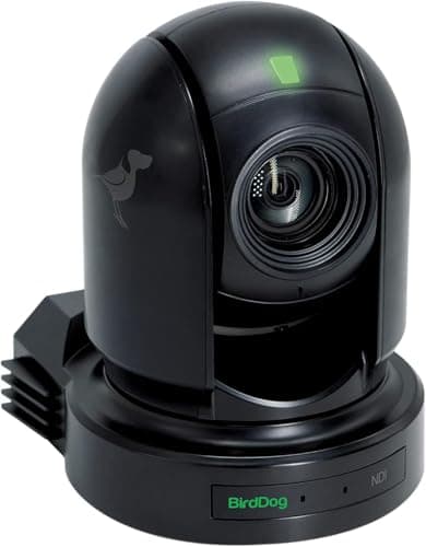 Image of BirdDog P200 Full HD NDI PTZ Kamera, schwarz