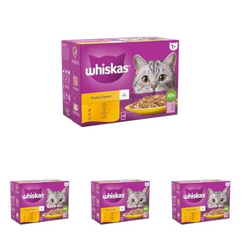 Image of WHISKAS 1+ Cat Pouches Poultry Feasts in Jelly 12 x 85 g (Pack of 4)