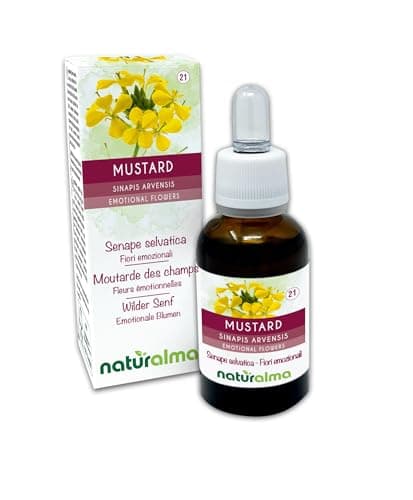 Image of Mustard (Sinapis arvensis) Naturalma Emotional Flowers or Bach Flowers - Drops 30 ml - Alcohol-Free Liquid Extract - Flower essences - Vegan and Without Alcohol